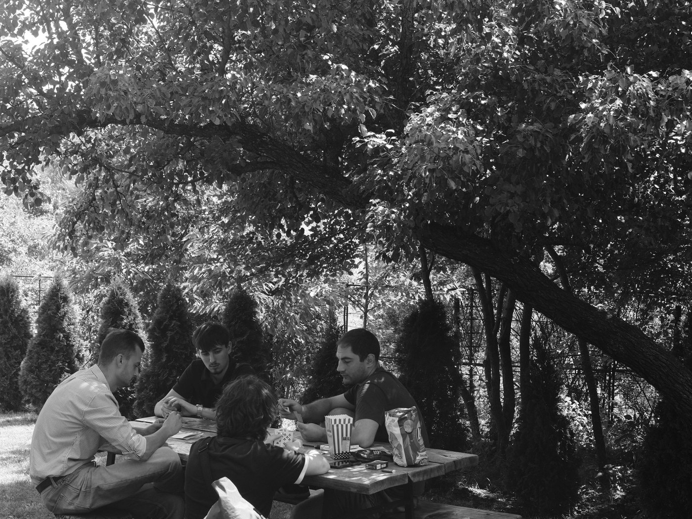 Lunch under the trees