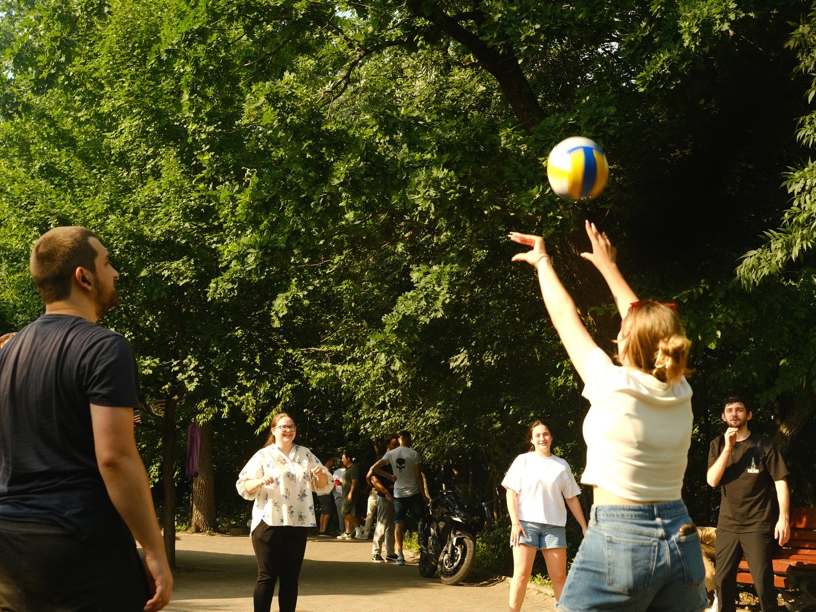 Volleyball in the park